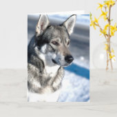 Schor in het Wenskaart van de Sneeuw Kaart (Gele Bloem)