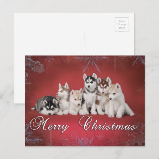 Schor Kerstmis Feestdagenkaart (Voorkant / Achterkant)