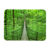 Schorpenbrug Magneet (Horizontaal)