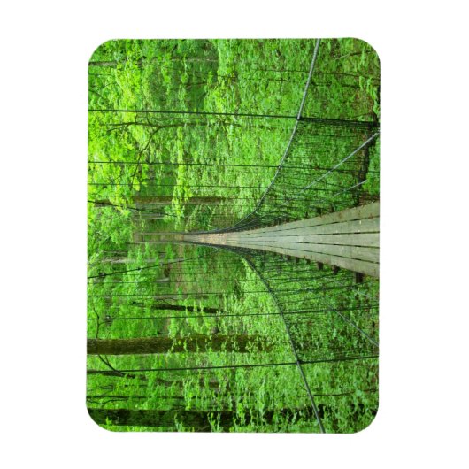 Schorpenbrug Magneet (Verticaal)