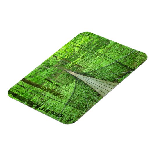 Schorpenbrug Magneet (Linkerzijde)