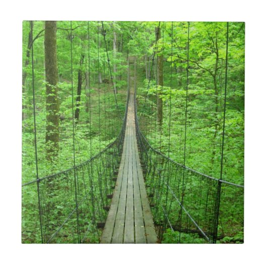 Schorpenbrug Tegeltje (Voorkant)