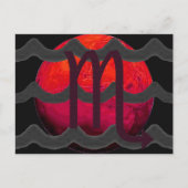 Schorpioen ansichtkaart briefkaart (Voorkant)