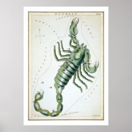 Schorpioen Astrologie Sterrenbeeld Poster