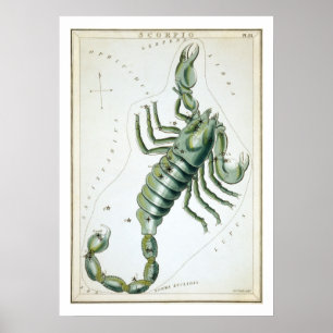 Schorpioen Astrologie Sterrenbeeld Poster
