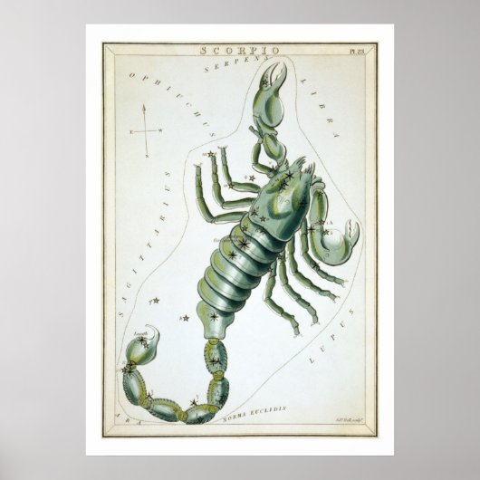 Schorpioen Astrologie Sterrenbeeld Poster (Voorkant)
