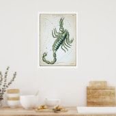 Schorpioen Astrologie Sterrenbeeld Poster (Keuken)