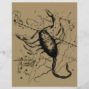 Schorpioen Constellatie Hevelius 1690 Decor Flyer