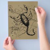 Schorpioen Constellatie Hevelius 1690 Decor Flyer (Hand)