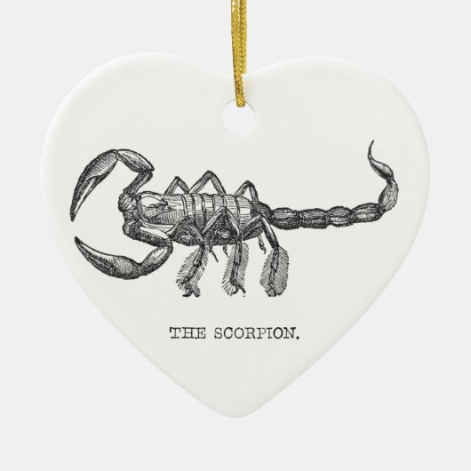 Schorpioen dier cadeau enge dieren keramisch ornament (Voorkant)