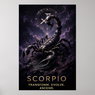 Schorpioen Dierenriem Schorpioen Hemellich Astrolo Poster