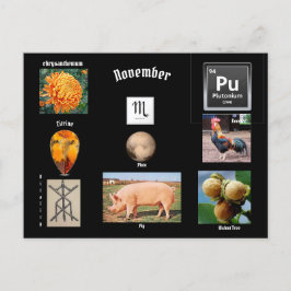 Schorpioen Geboortemaand November Ansichtkaart Briefkaart