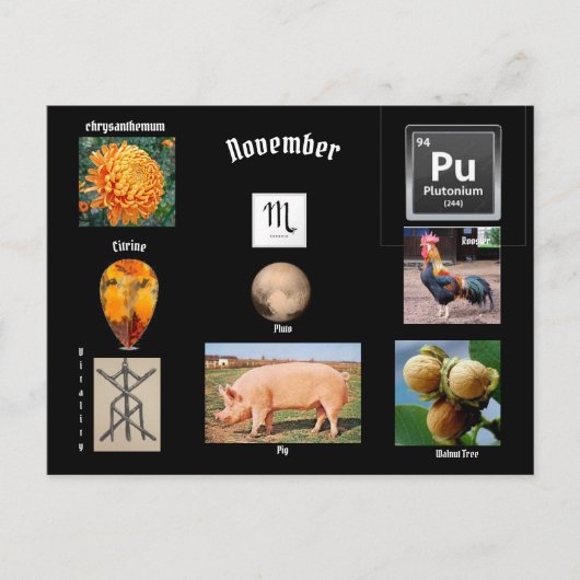 Schorpioen Geboortemaand November Ansichtkaart Briefkaart (Voorkant)