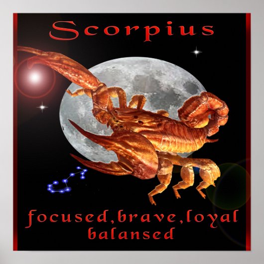 schorpioen poster (Voorkant)