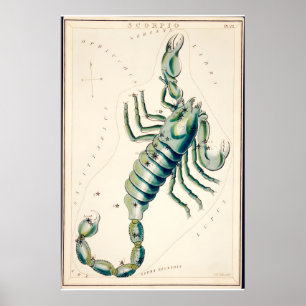 Schorpioen Sterrenbeeld Kunstprint Antiek Poster