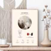 Schorpioen Sterrenbeeld met Geboortesteen Poster