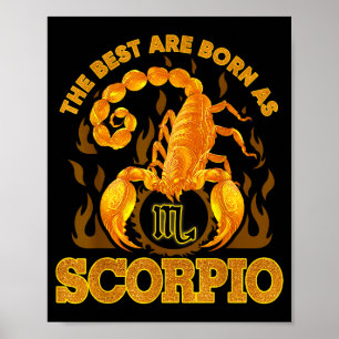 Schorpioen Sterrenbeeld Oktober November Verjaarda Poster
