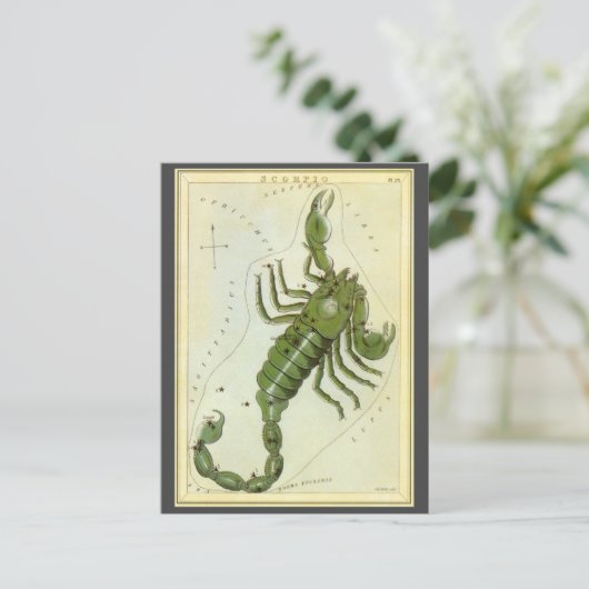 Schorpioen,  sterrenbeeld Urania's Mirror Briefkaart (Staand voorkant)