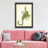 Schorpioen,  sterrenbeeld Urania's Mirror Canvas Afdruk (Insitu (Woonkamer))