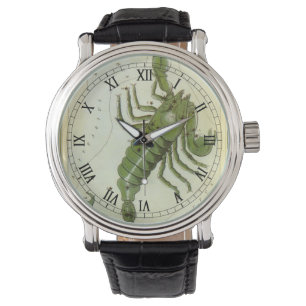 Schorpioen,  sterrenbeeld Urania's Mirror Horloge