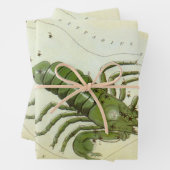 Schorpioen,  sterrenbeeld Urania's Mirror Inpakpapier Vel (In situ)