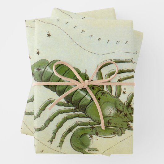 Schorpioen,  sterrenbeeld Urania's Mirror Inpakpapier Vel (In situ)