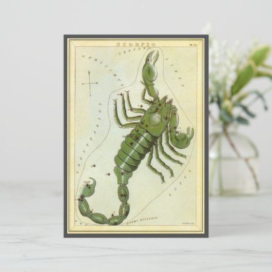Schorpioen, sterrenbeeld Urania's Mirror Kaart (Staand voorkant)