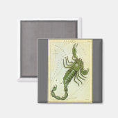 Schorpioen,  sterrenbeeld Urania's Mirror Magneet (Voorkant / Achterkant)