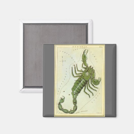 Schorpioen,  sterrenbeeld Urania's Mirror Magneet (Voorkant / Achterkant)