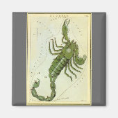 Schorpioen,  sterrenbeeld Urania's Mirror Magneet (Voorkant)