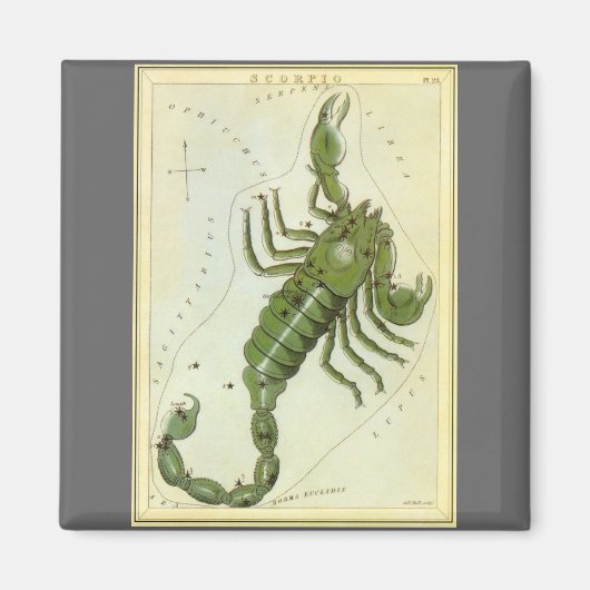 Schorpioen,  sterrenbeeld Urania's Mirror Magneet (Voorkant)