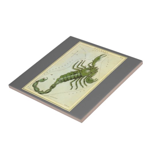 Schorpioen,  sterrenbeeld Urania's Mirror Tegeltje (Zijkant)