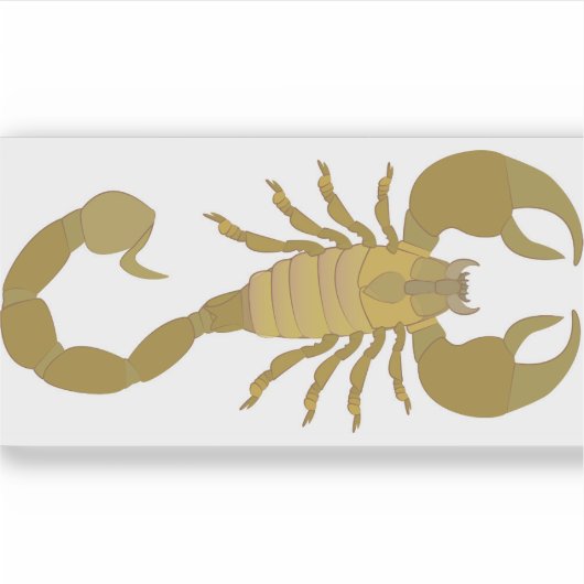 Schorpioen Sticker (Voorkant)