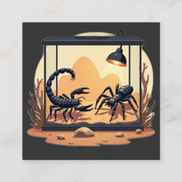 Schorpioen Terrarium Habitat Vierkante Visitekaartje