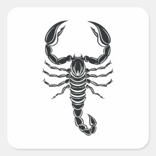 Schorpioen Vierkante Sticker