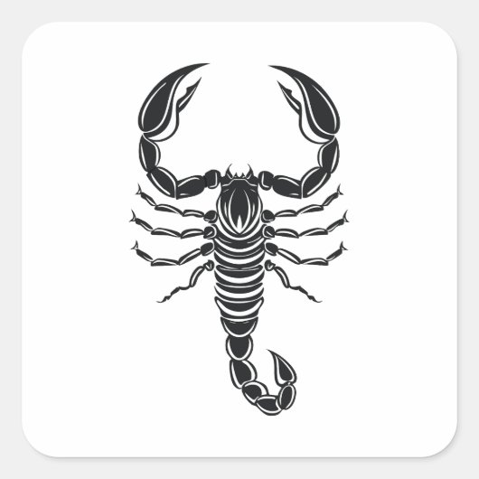 Schorpioen Vierkante Sticker (Voorkant)