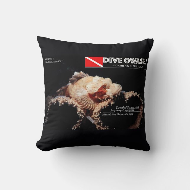 Schorpioenvis op de spons kussen (Voorkant)