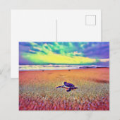 Schorretiel Briefkaart (Voorkant / Achterkant)