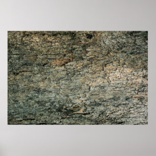 schors, achtergrond, grafisch deco poster