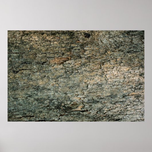 schors, achtergrond, grafisch deco poster (Voorkant)