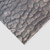 Schors van de vlakke boom tissuepapier (Detail)