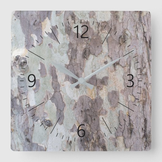 Schors van de vlakke boom vierkante klok (Voorkant)