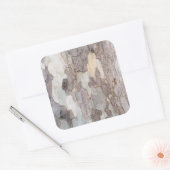 Schors van de vlakke boom vierkante sticker (Envelop)