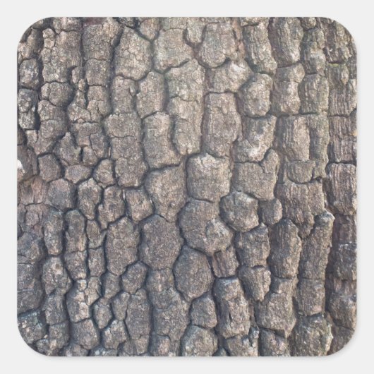 Schors van de vlakke boom vierkante sticker (Voorkant)
