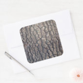 Schors van de vlakke boom vierkante sticker (Envelop)