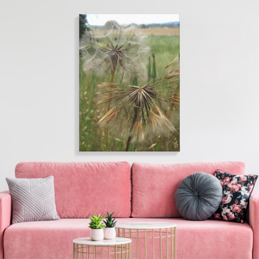 Schorseneren Zaden In Veld Verpakt Canvas (Insitu (Woonkamer))