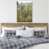 Schorseneren Zaden In Veld Verpakt Canvas (Insitu (Slaapkamer))