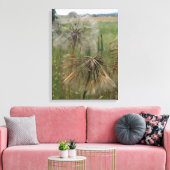 Schorseneren Zaden In Veld Verpakt Canvas (Insitu (Woonkamer))