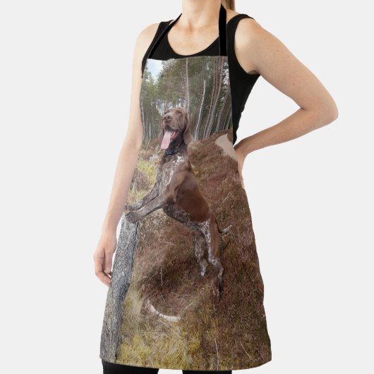 Schort Duitse horthaired Pointer (Insitu)