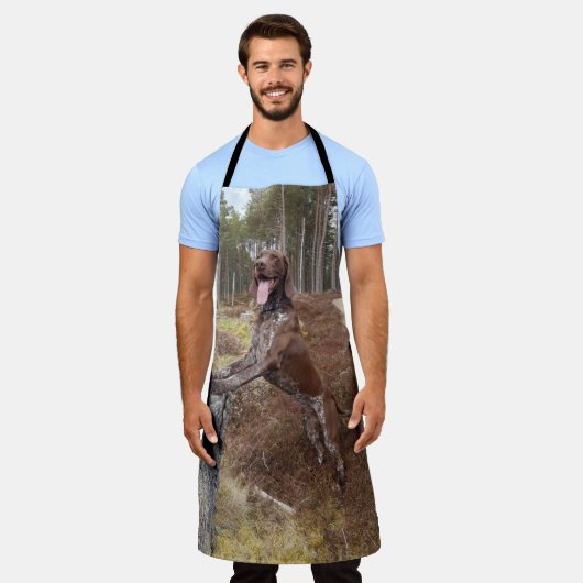 Schort Duitse horthaired Pointer (Gedragen)